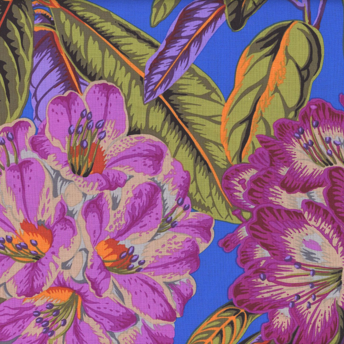 Free Spirit Fabrics Kaffe Fassett Collective August 2023 by Philip